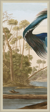 Audubon's Louisiana Heron Triptych in Silver Moulding