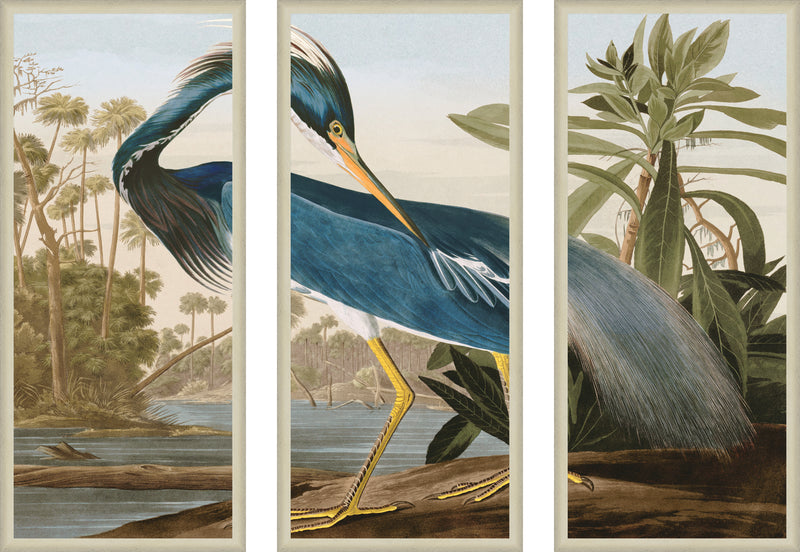 Blue Louisiana Heron Triptych