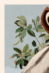 Brown Pelican bluesky 251 Print in Black Veneer With Silver Edge Moulding, After Audubon