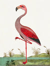 Albin Upclose Flamingo 18x24