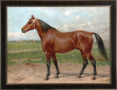 American Race Horse by Eerelman
