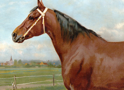 American Race Horse by Eerelman