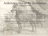 Ardenner Horse by Eerelman