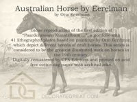 Australian Horse by Eerelman