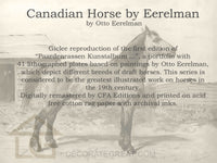 Canadian Horse by Eerelman