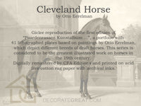 Cleveland Horse by Eerelman