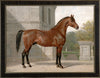 Cleveland Horse by Eerelman