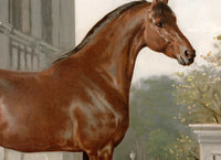 Cleveland Horse by Eerelman