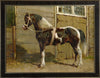 Danish Horse by Eerelman