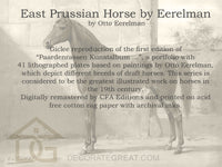 East Prussian Horse by Eerelman