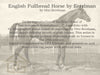 English Fullbread Horse by Eerelman