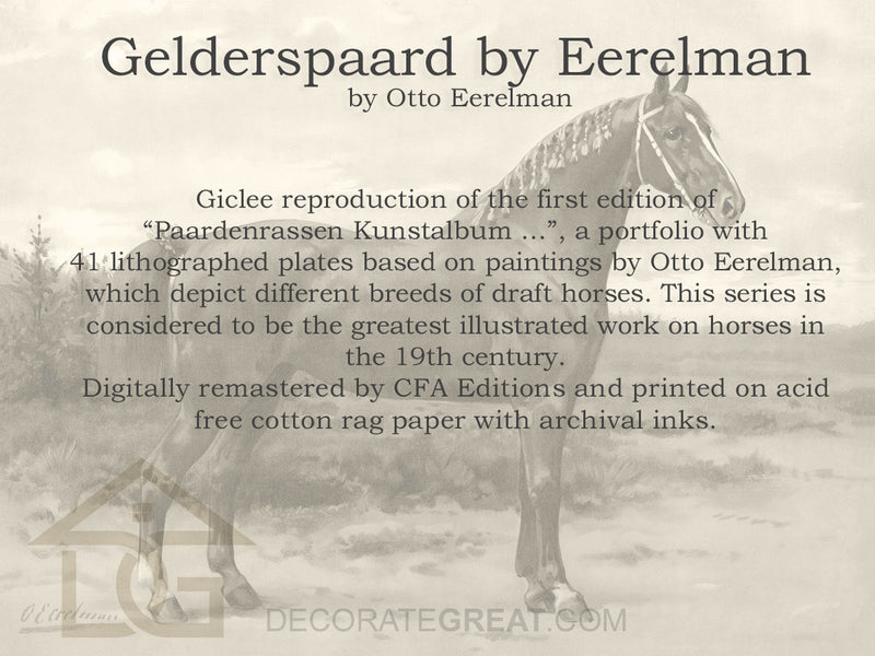 Gelderspaard by Eerelman