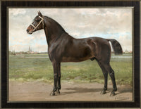 Groningen-Frisian Horse by Eerelman