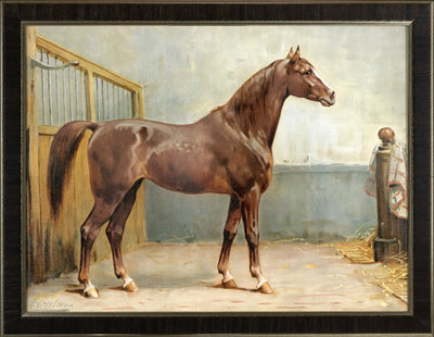 Hanoverian Horse by Eerelman