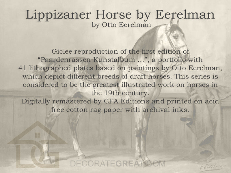 Lippizaner Horse by Eerelman