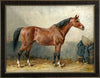 Mecklenburger Horse by Eerelman