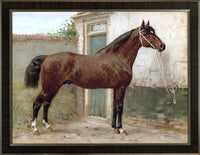 Norman Horse by Eerelman