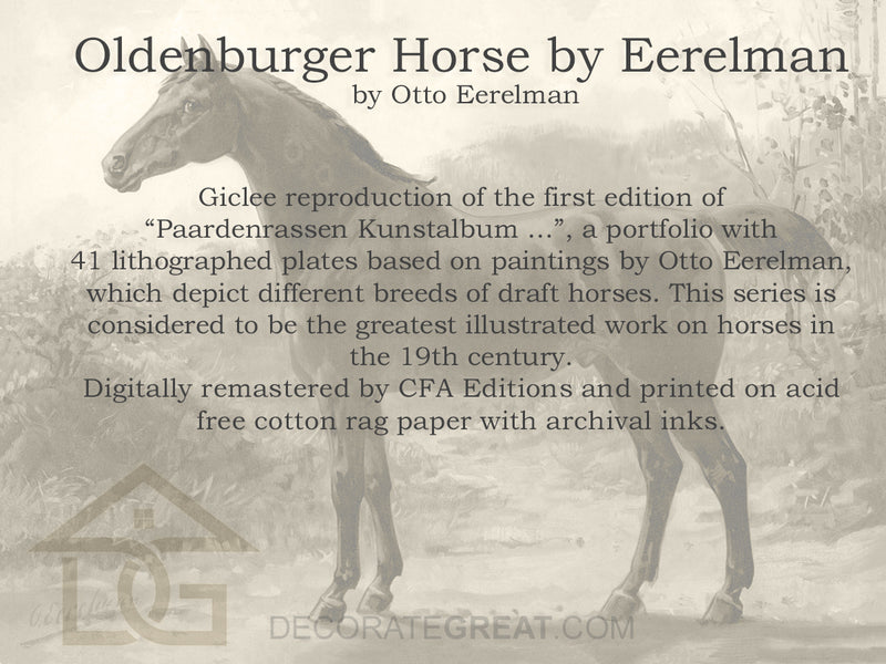 Oldenburger Horse by Eerelman