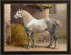 Percheron Horse by Eerelman