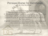 Persian Horse by Eerelman