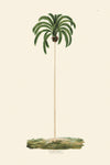 Rodrigues Palm, Antique Prints 008