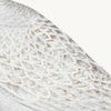 Larus (White Gull) Plate 25 by Olof Rudbeck (WD)