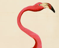 Pink Birds Prints- a Pair