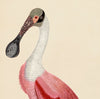 Pink Birds Prints- a Pair