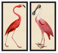 Pink Birds Prints- a Pair