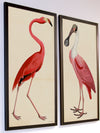 Pink Birds Prints- a Pair