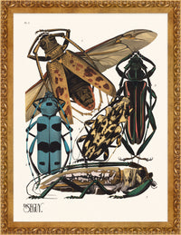 SEGUY BUG #03 IN VINTAGE GOLD