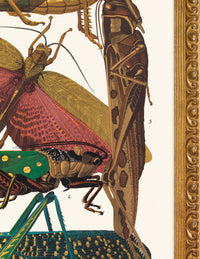 SEGUY BUG #07 IN VINTAGE GOLD