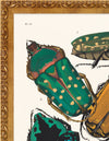 SEGUY BUG #12 IN VINTAGE GOLD