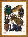 SEGUY BUG #15 IN VINTAGE GOLD