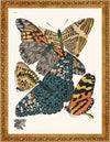 Seguy Butterfly #03 in Vintage Gold