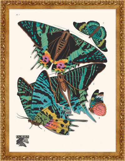 Seguy Butterfly #07 in Vintage Gold