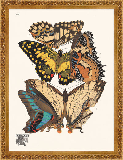 Seguy Butterfly #09 in Vintage Gold