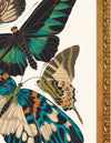 Seguy Butterfly #10 in Vintage Gold