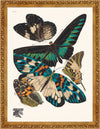 Seguy Butterfly #10 in Vintage Gold