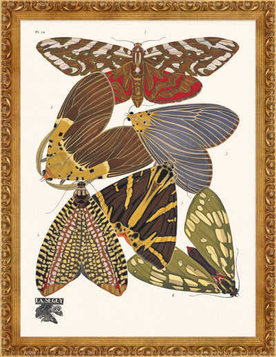 Seguy Butterfly #14 in Vintage Gold