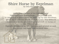 Shire Horse by Eerelman