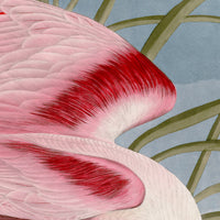 Audubon's Roseate Spoonbill Triptych Framed in Black