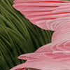 Audubon's Roseate Spoonbill Triptych Framed in Black