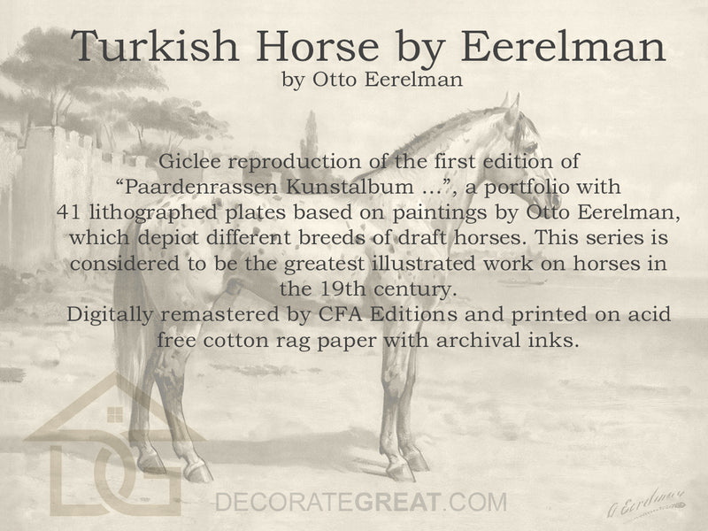 Turkish Horse by Eerelman