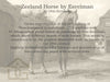 Zeeland Horse by Eerelman