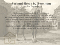 Zeeland Horse by Eerelman