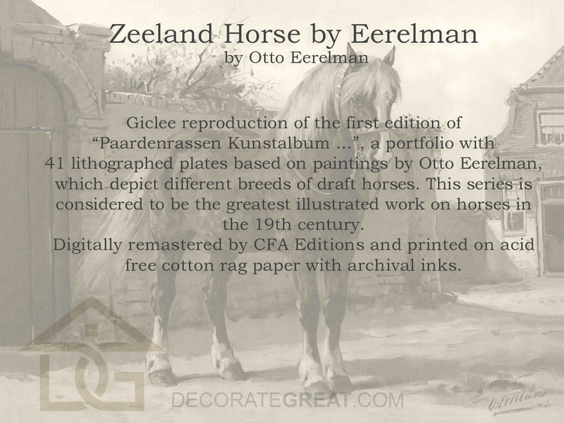 Zeeland Horse by Eerelman