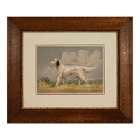 Alexander Pope Jr. Llewellin Setter Dog Antique Print in Antique Frame