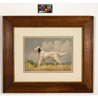 Alexander Pope Jr. Llewellin Setter Dog Antique Print in Antique Frame