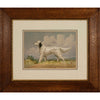 Alexander Pope Jr. Llewellin Setter Dog Antique Print in Antique Frame